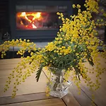 Bed & Breakfast Mas Peu Del Causse 3*