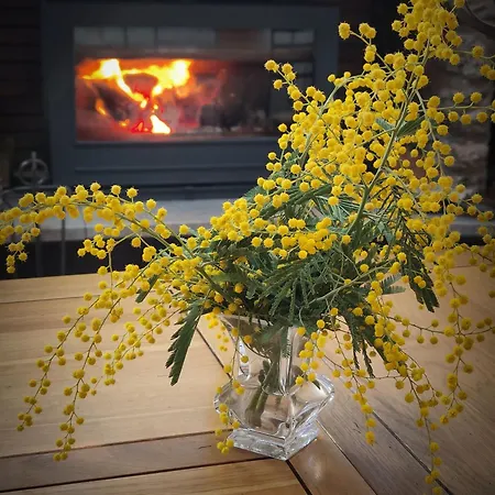 فندق مبيت وإفطار Mas Peu Del Causse 3*